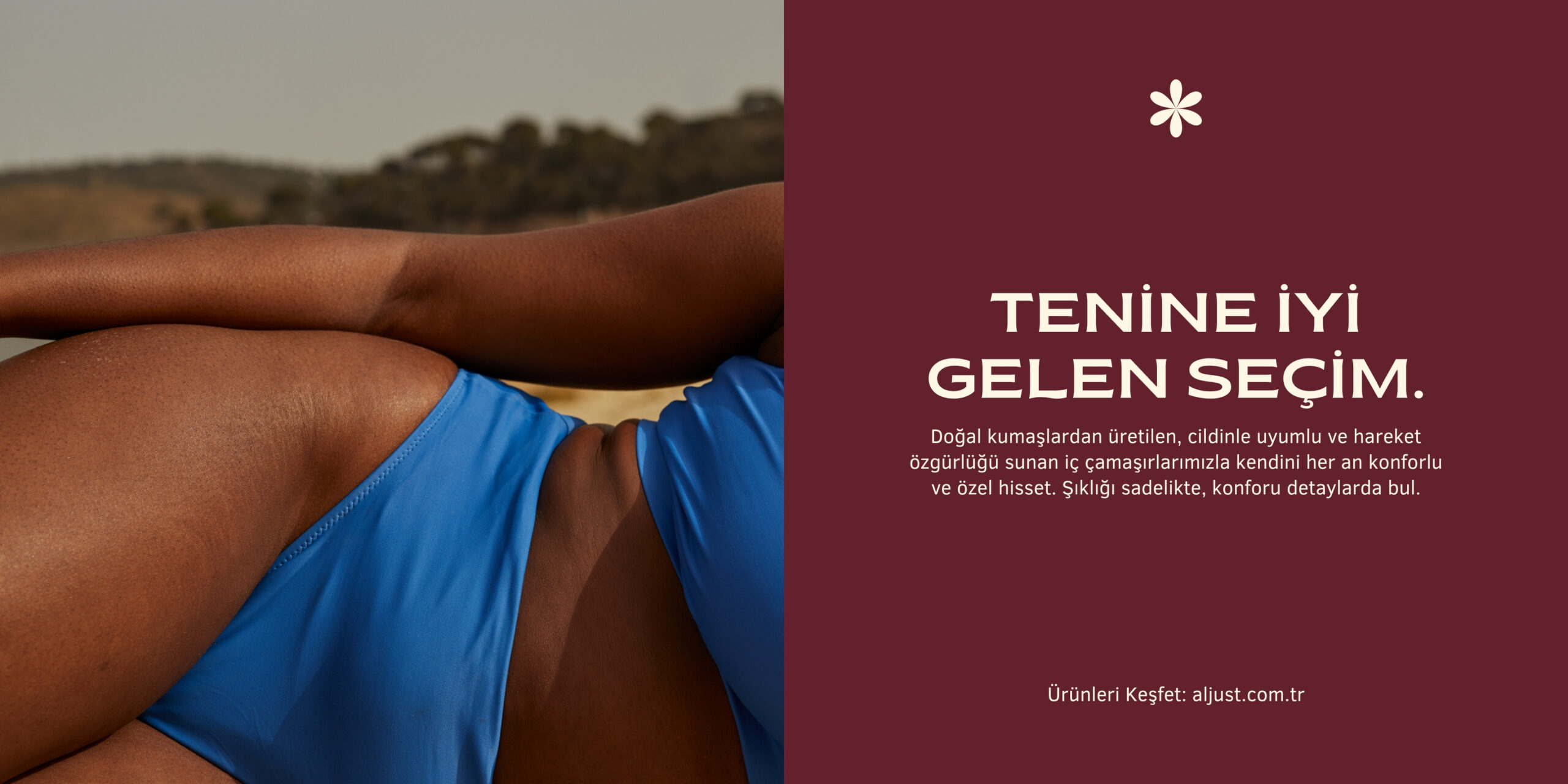 bordo ve bej modern İç Çamaşırı ve bikini yatay banner